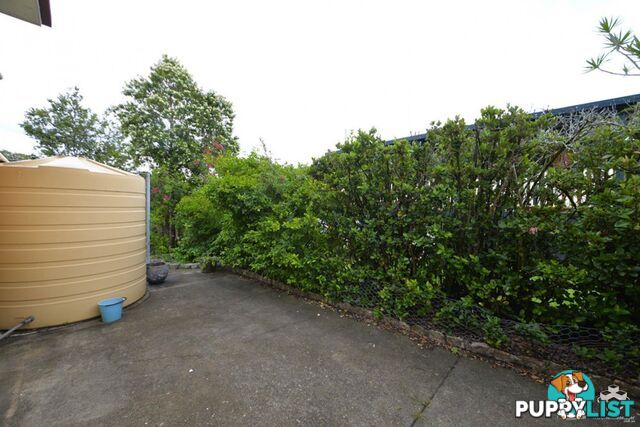 3 Woggle Street Jamboree Heights QLD 4074