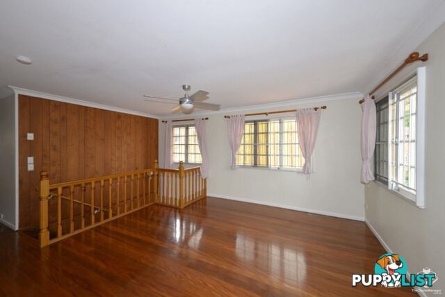 3 Woggle Street Jamboree Heights QLD 4074