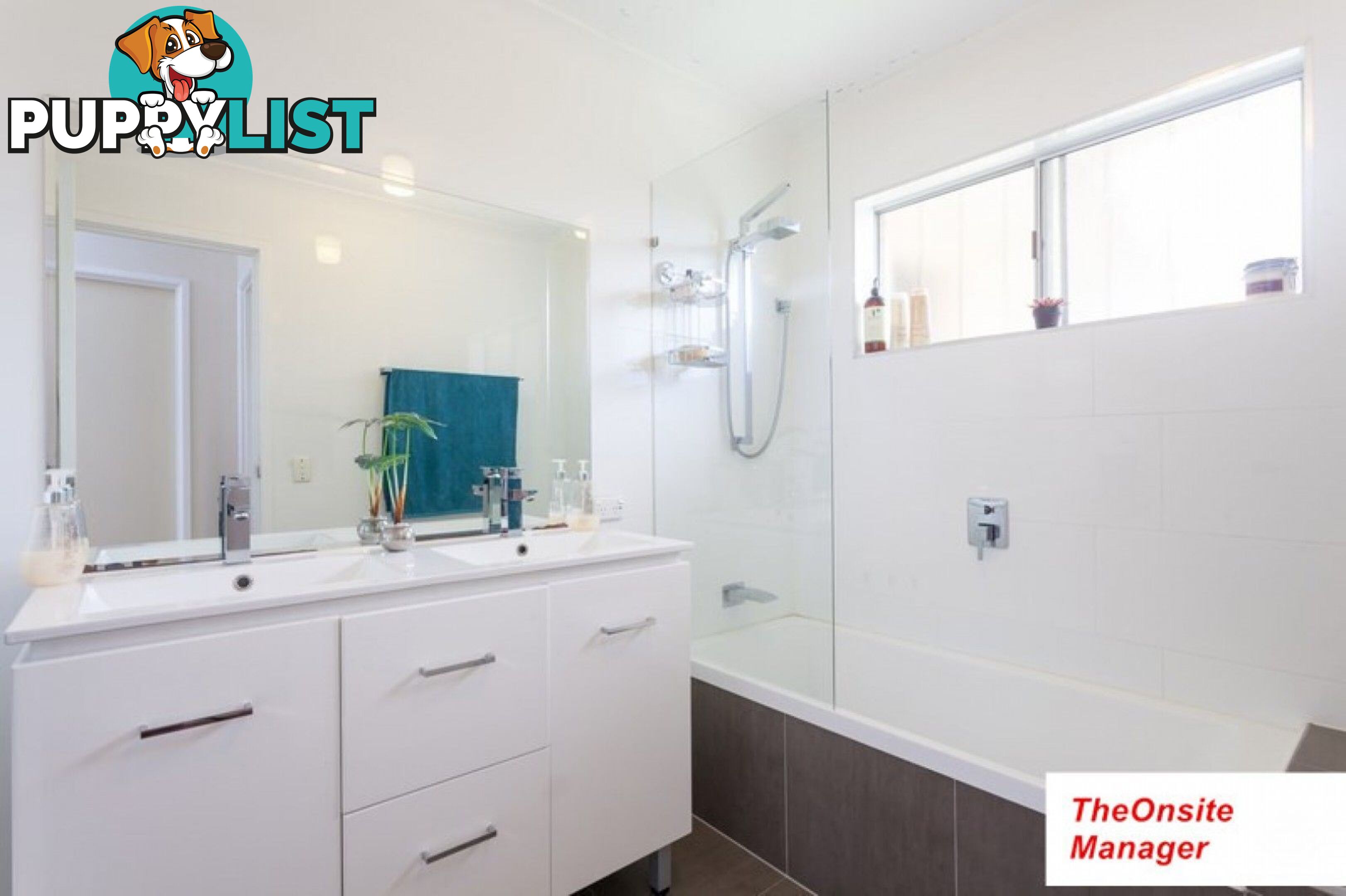 3 Woggle Street Jamboree Heights QLD 4074