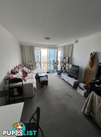 ID:21154783 5 Lawson Street Southport QLD 4215
