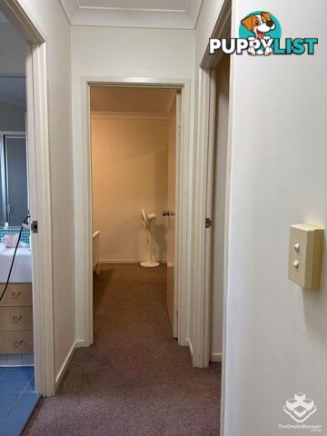 ID:21157296 60 Sherwood Road Toowong QLD 4066