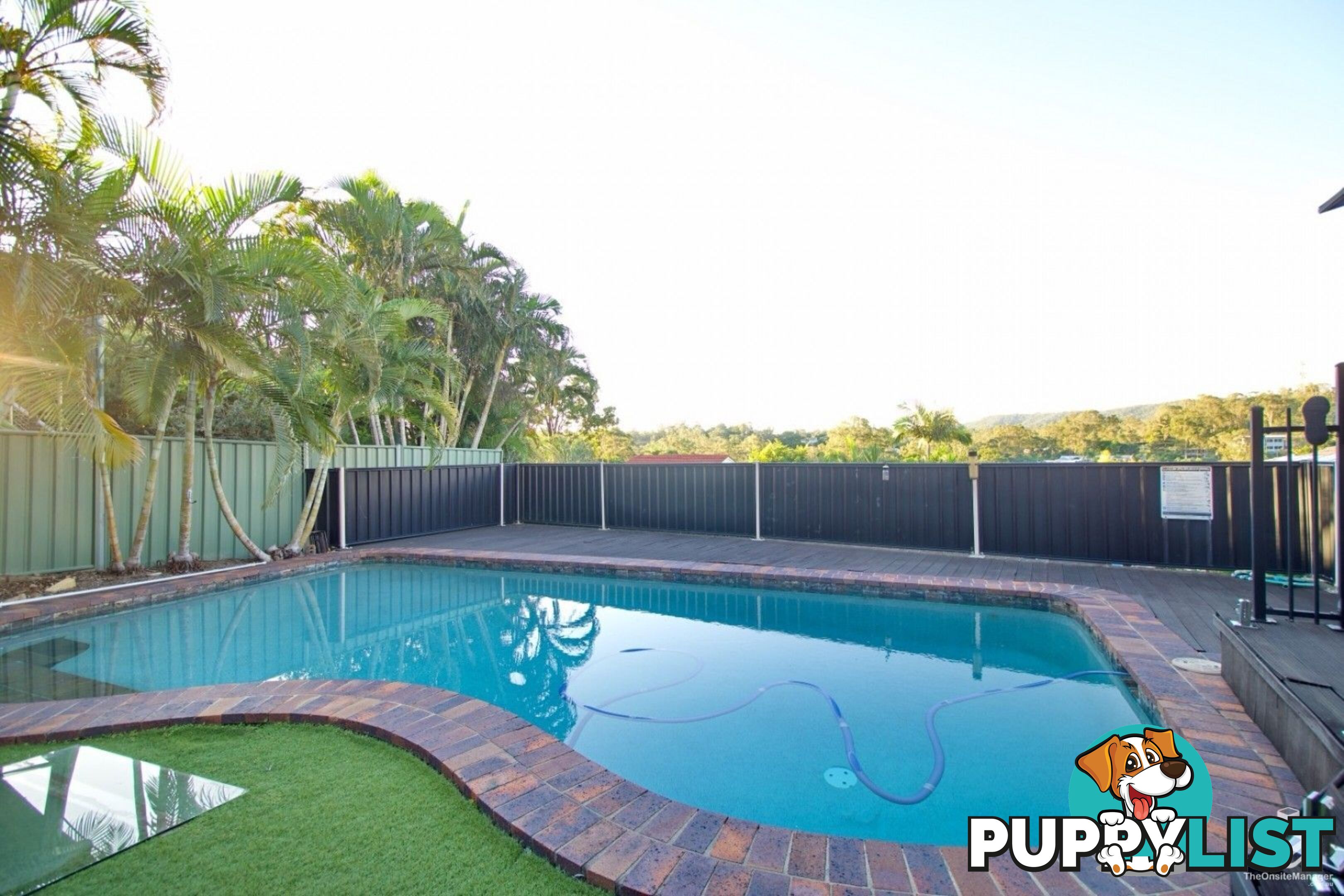 41 Aronia Street Kenmore QLD 4069