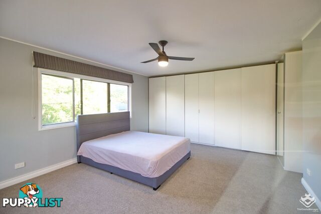 41 Aronia Street Kenmore QLD 4069