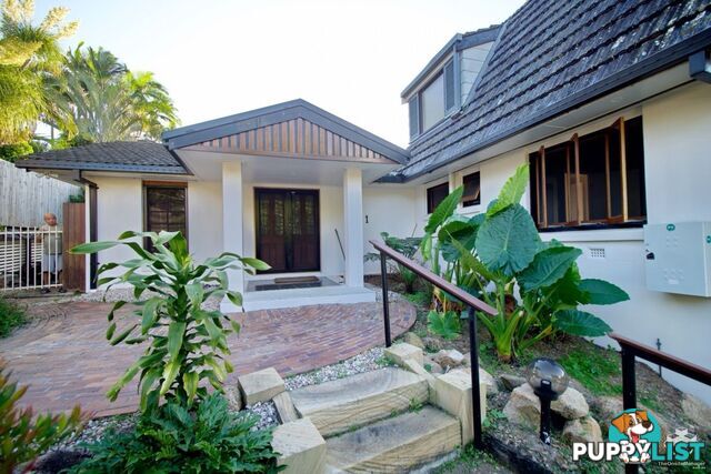 41 Aronia Street Kenmore QLD 4069