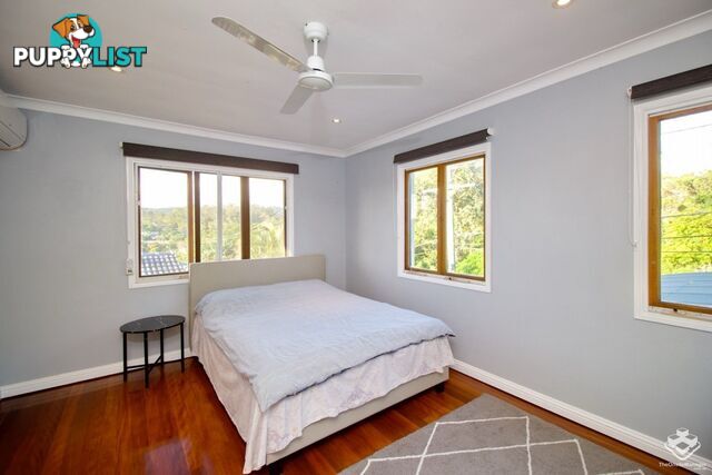 41 Aronia Street Kenmore QLD 4069