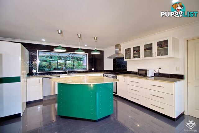41 Aronia Street Kenmore QLD 4069