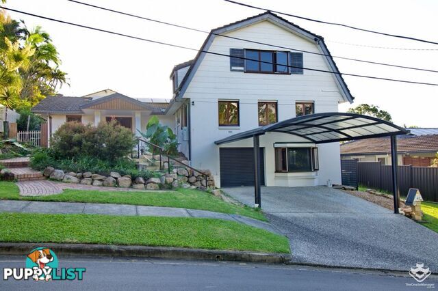 41 Aronia Street Kenmore QLD 4069