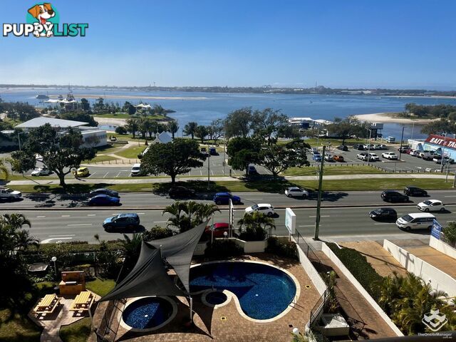 ID:21156705 114 Marine Parade Southport QLD 4215