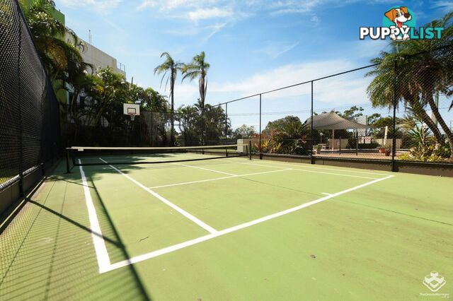 ID:21156705 114 Marine Parade Southport QLD 4215