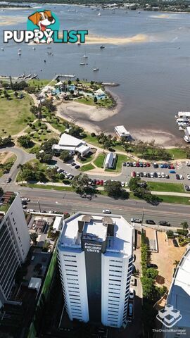 ID:21156705 114 Marine Parade Southport QLD 4215