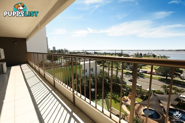 ID:21156705 114 Marine Parade Southport QLD 4215