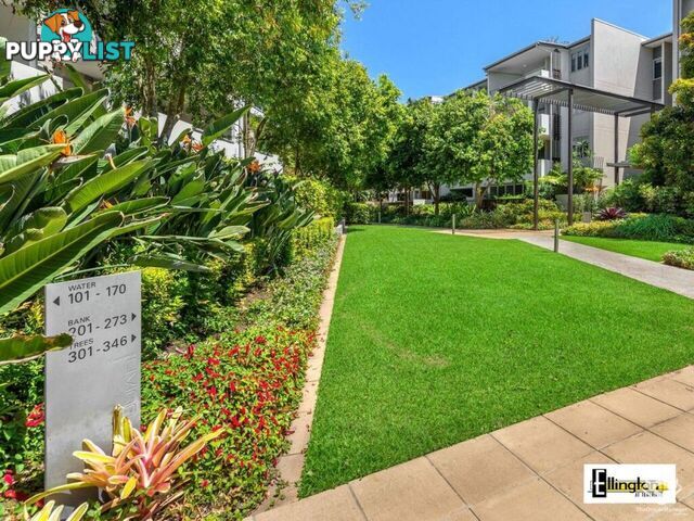 ID:21156477 71 Beeston Street Teneriffe QLD 4005
