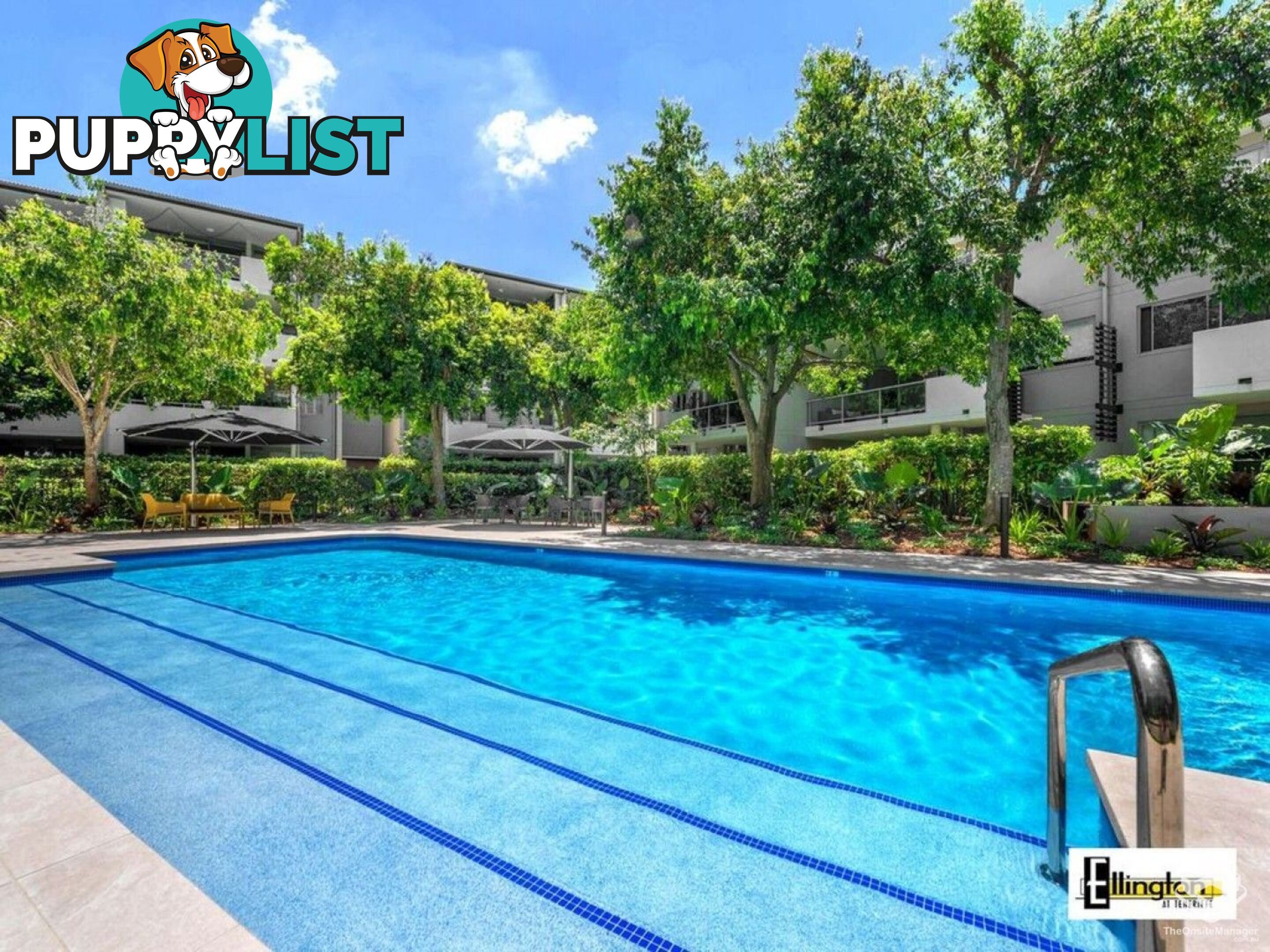 ID:21156477 71 Beeston Street Teneriffe QLD 4005