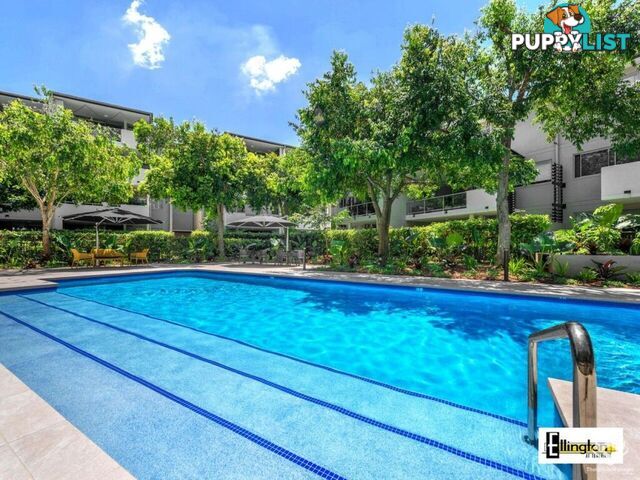 ID:21156477 71 Beeston Street Teneriffe QLD 4005