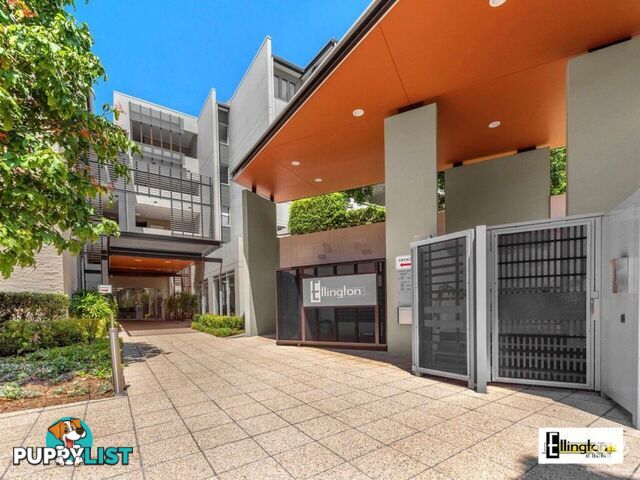 ID:21156477 71 Beeston Street Teneriffe QLD 4005