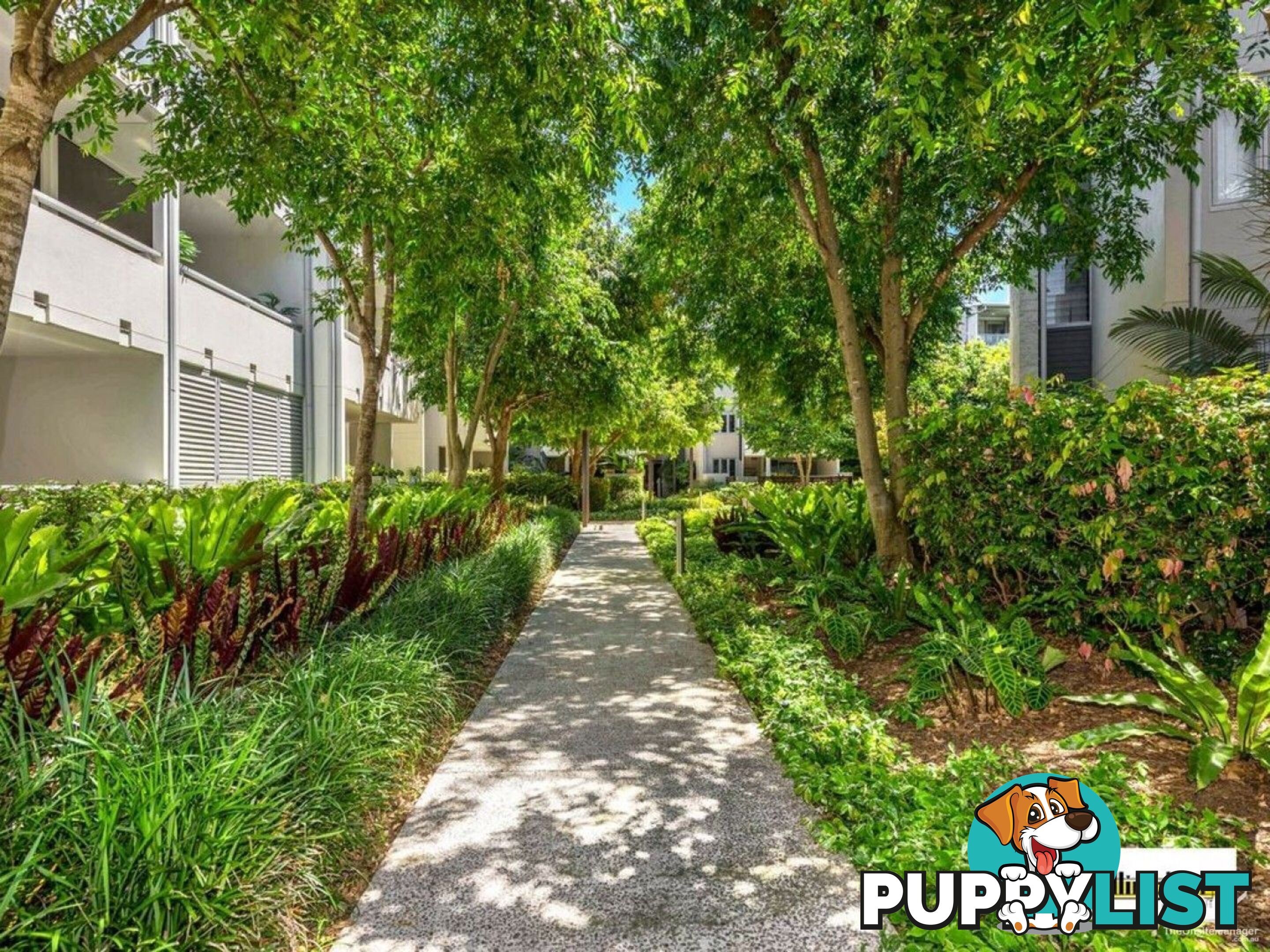 ID:21156477 71 Beeston Street Teneriffe QLD 4005