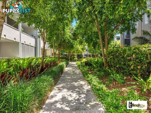 ID:21156477 71 Beeston Street Teneriffe QLD 4005