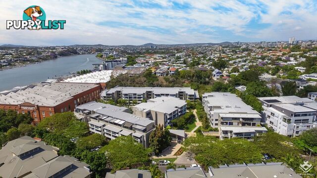 ID:21156477 71 Beeston Street Teneriffe QLD 4005