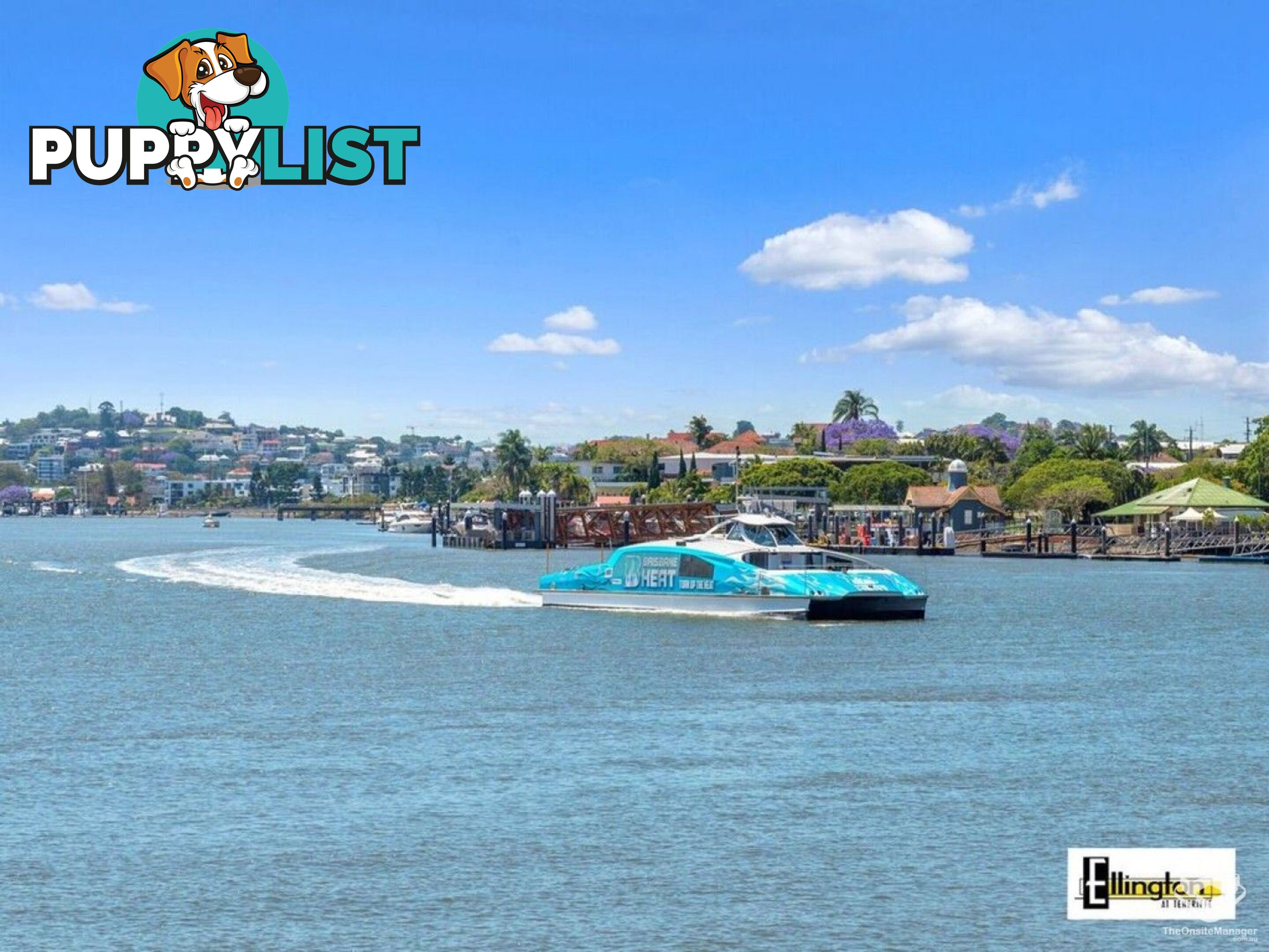 ID:21156477 71 Beeston Street Teneriffe QLD 4005