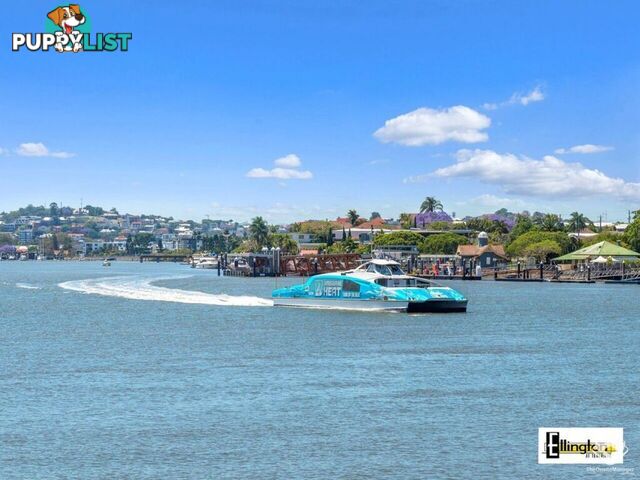 ID:21156477 71 Beeston Street Teneriffe QLD 4005