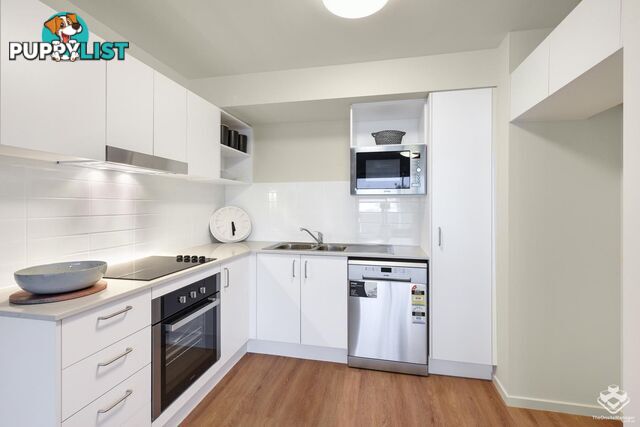 ID:21144610 6 Southerden Avenue Grange QLD 4051