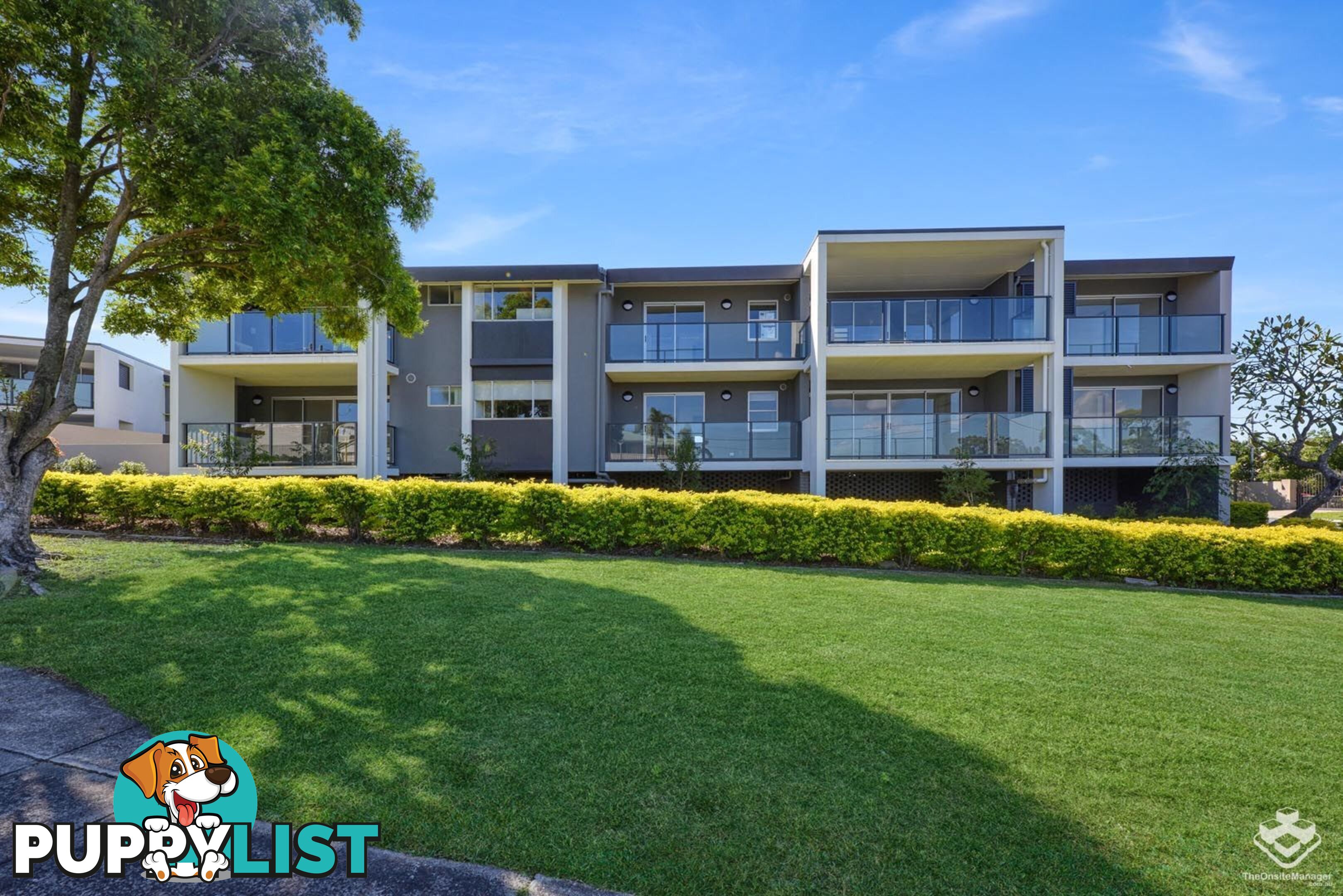 ID:21144610 6 Southerden Avenue Grange QLD 4051