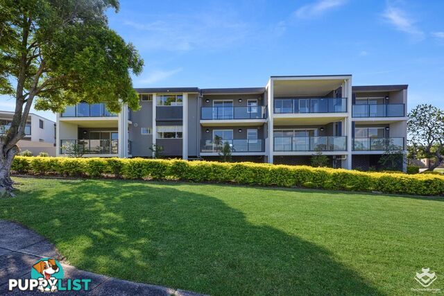 ID:21144610 6 Southerden Avenue Grange QLD 4051