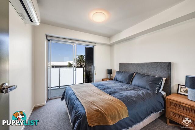 ID:21144610 6 Southerden Avenue Grange QLD 4051