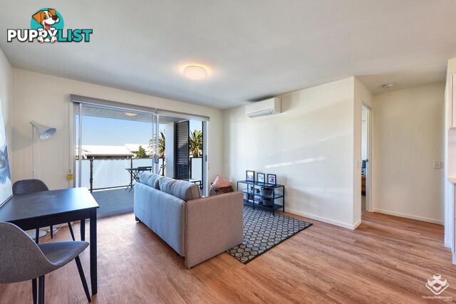 ID:21144610 6 Southerden Avenue Grange QLD 4051
