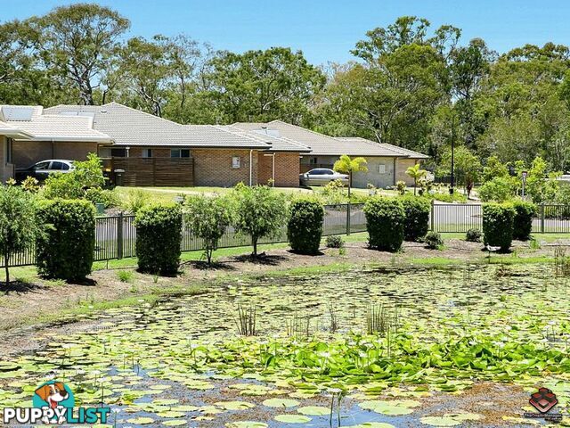 ID:21109957/230 Pulgul Street Urangan QLD 4655