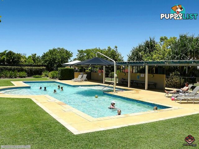 ID:21109957/230 Pulgul Street Urangan QLD 4655