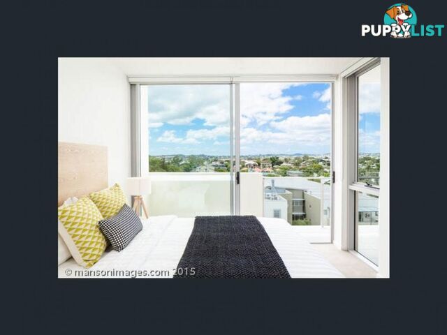 ID:3898503/17 Lytton Road East Brisbane QLD 4169