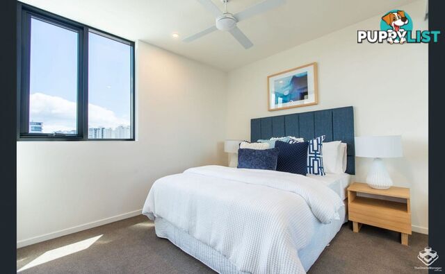 ID:21155891 110 Frank Street Labrador QLD 4215