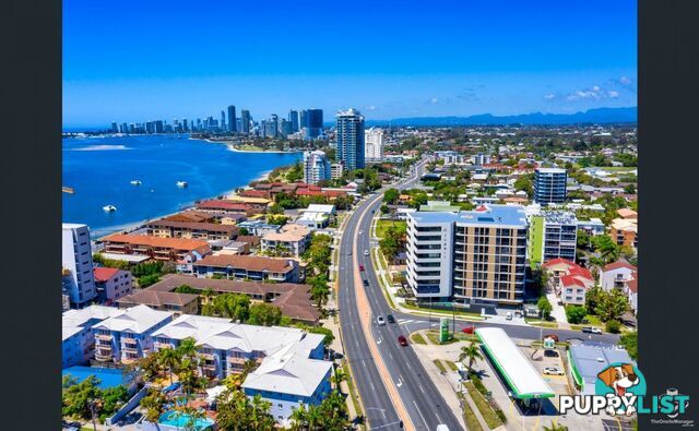 ID:21155891 110 Frank Street Labrador QLD 4215