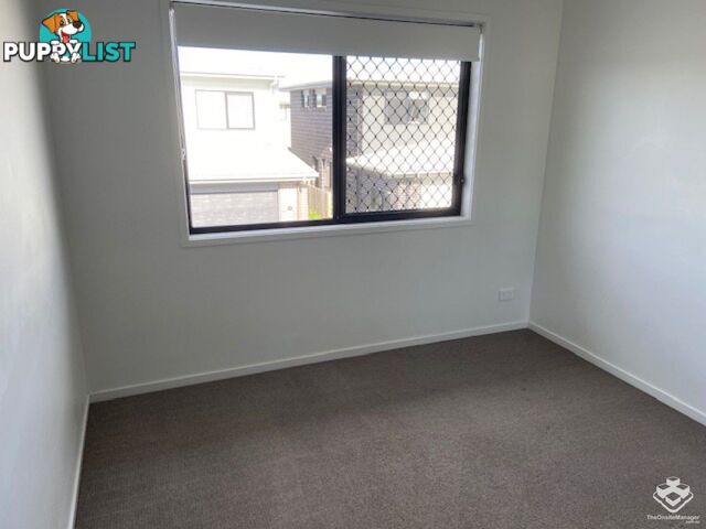 ID:21149308 8 Kokuso Place Doolandella QLD 4077