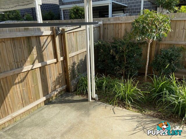 ID:21149308 8 Kokuso Place Doolandella QLD 4077