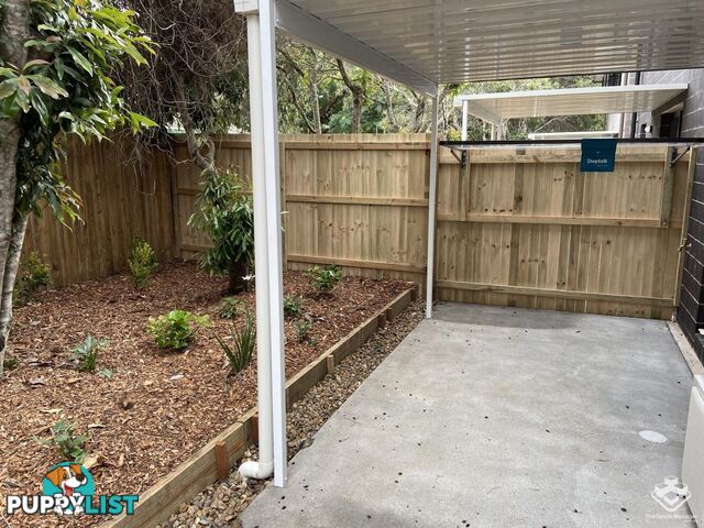 ID:21149308 8 Kokuso Place Doolandella QLD 4077