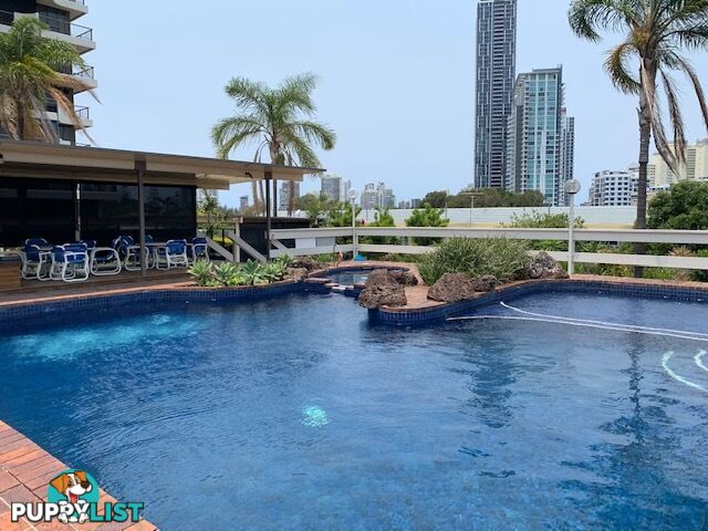ID:21132069 10 Marine Parade Southport QLD 4215