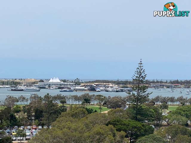 ID:21132069 10 Marine Parade Southport QLD 4215