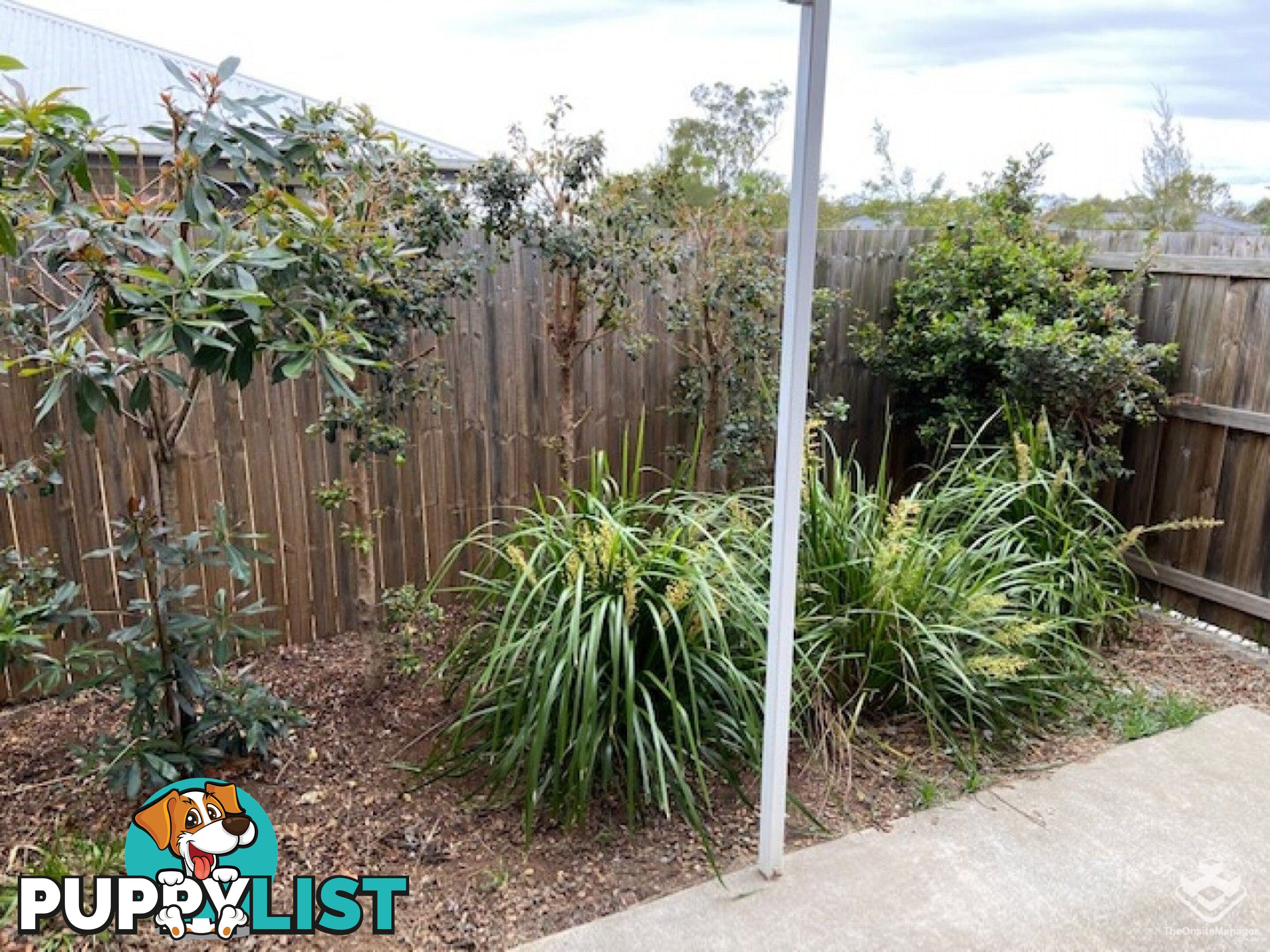 ID:21152060 8 Kokuso Place Doolandella QLD 4077