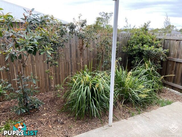 ID:21152060 8 Kokuso Place Doolandella QLD 4077