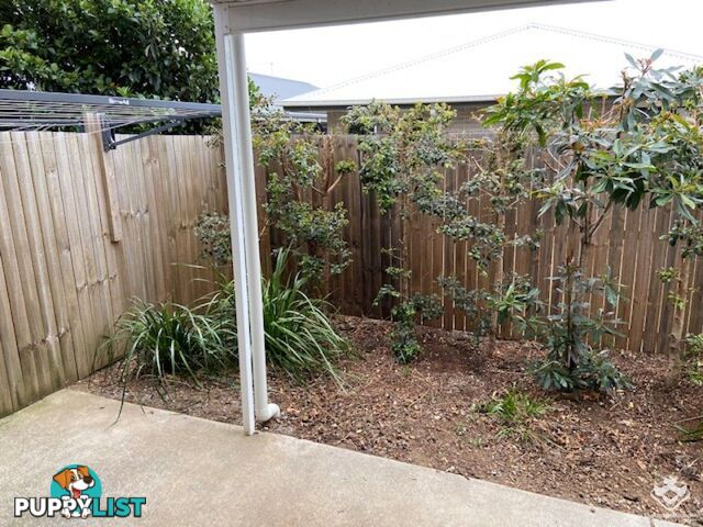 ID:21152060 8 Kokuso Place Doolandella QLD 4077
