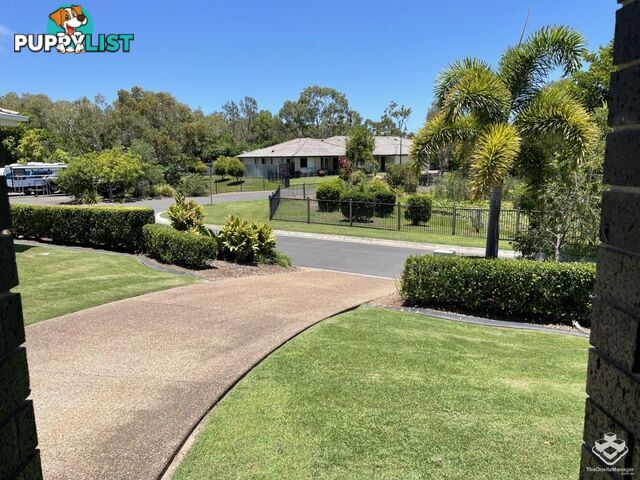 ID:21157345 230 Pulgul Street Urangan QLD 4655