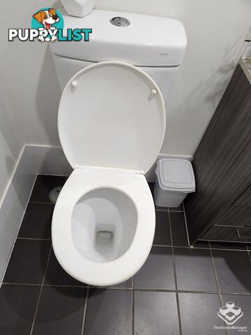 ID:21157345 230 Pulgul Street Urangan QLD 4655