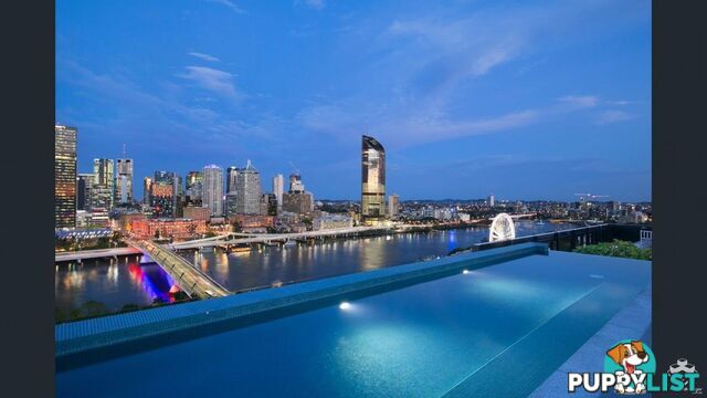 ID:21146716 77 Grey Street South Brisbane QLD 4101