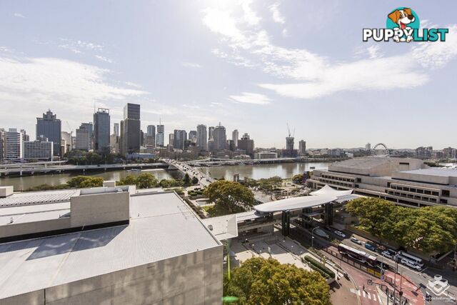 ID:21146716 77 Grey Street South Brisbane QLD 4101
