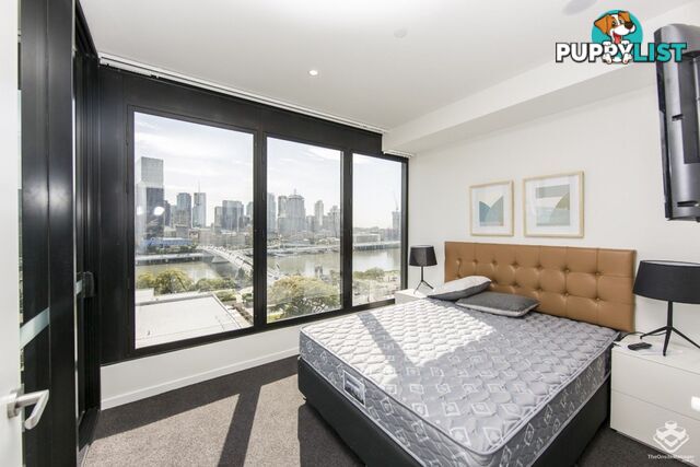 ID:21146716 77 Grey Street South Brisbane QLD 4101