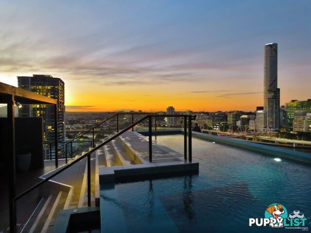 ID:21146716 77 Grey Street South Brisbane QLD 4101