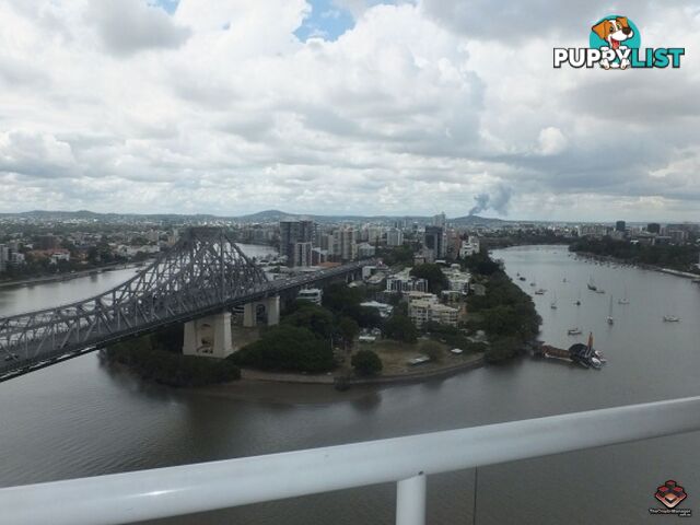 ID:3896980/82 Boundary Street Brisbane City QLD 4000