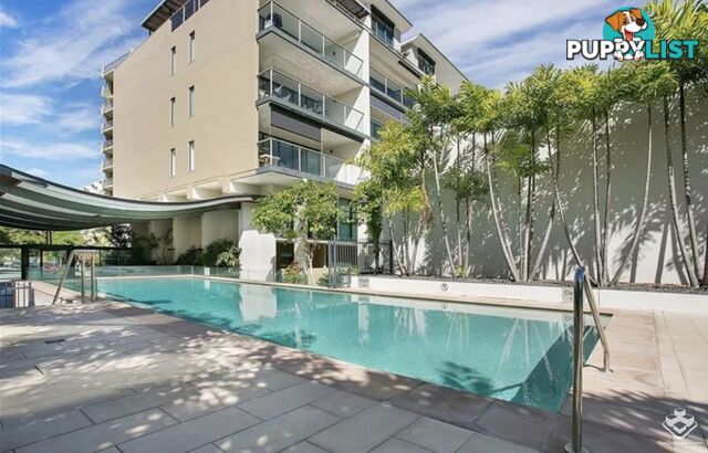 ID:21155190 35 Buchanan Street West End QLD 4101